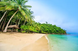 Maxima Island