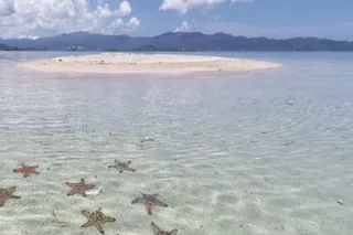 Starfish Island