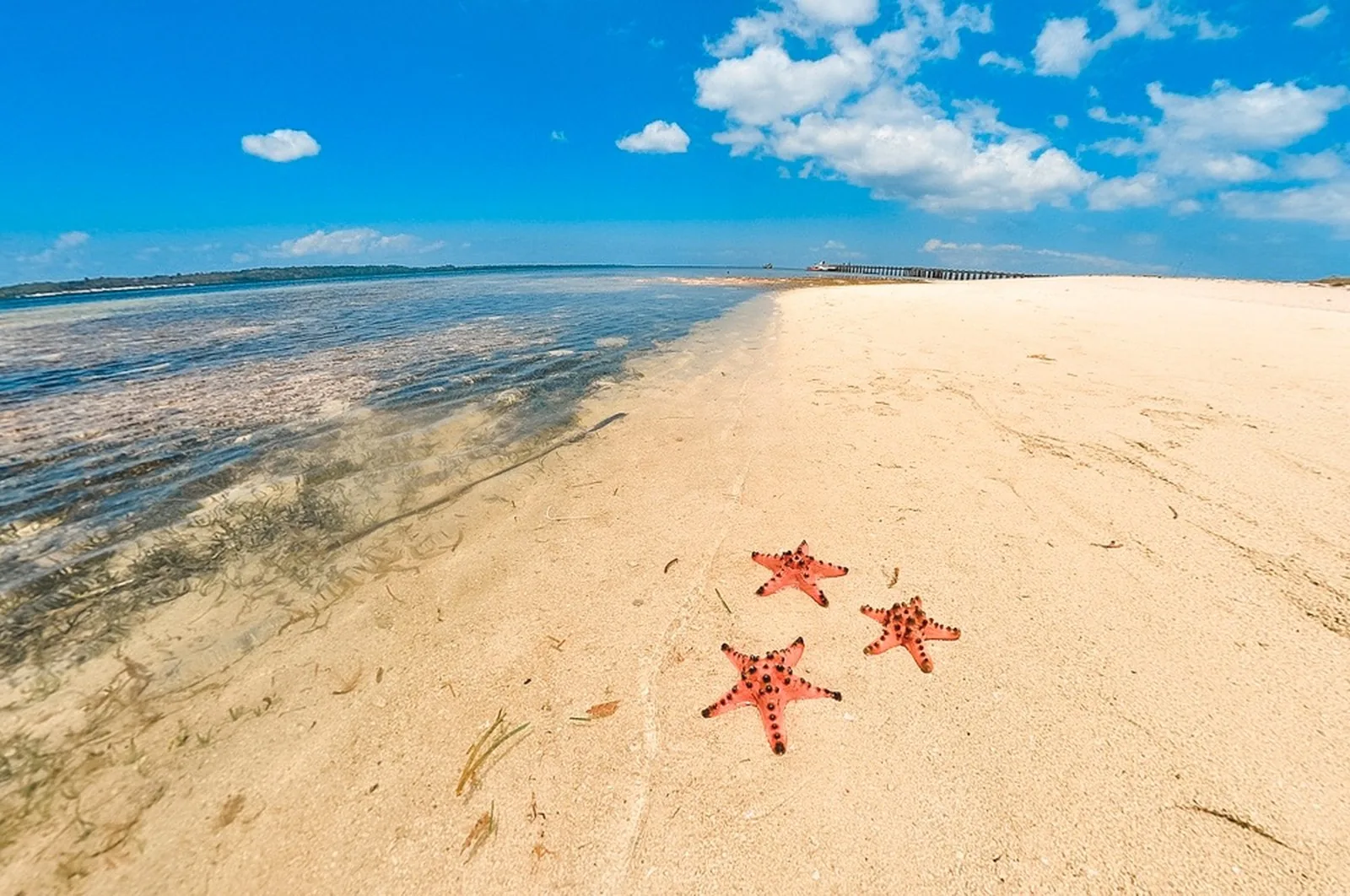 Starfish Island sandbar, Honda Bay