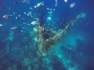 Skeleton Wreck