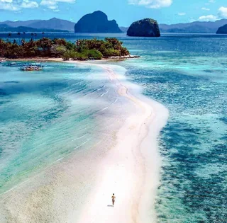 Snake Island